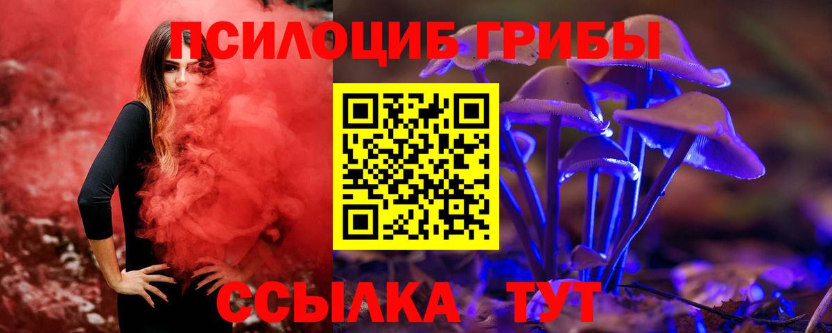 Галлюциногенные грибы Cubensis Бугуруслан