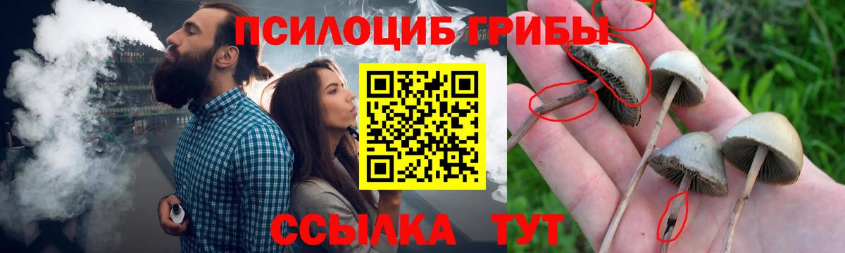 Псилоцибиновые грибы ЛСД  Вход с VPN  Бугуруслан 